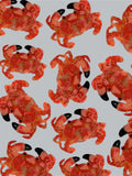 CRAB HAIR CLIP